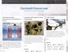 Tablet Screenshot of carcinoid-cancer.com